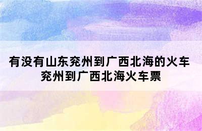 有没有山东兖州到广西北海的火车 兖州到广西北海火车票